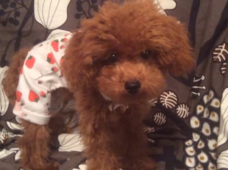 よったんさんの作品