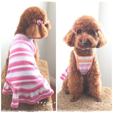 Lilyママさんの作品