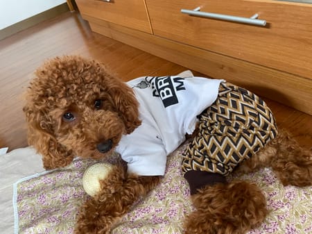 yukichiさんの作品