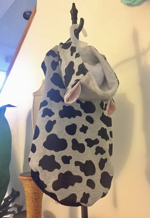 りりかさんの作品