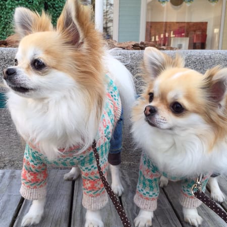 masakoさんの作品