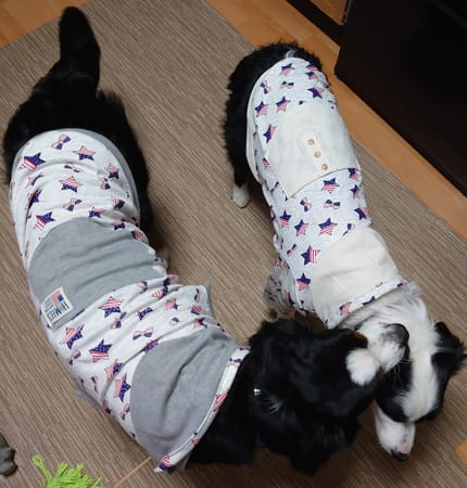 えんさんの作品