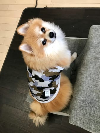 tamaharuさんの作品