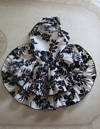 ぷーにゃんさんの作品