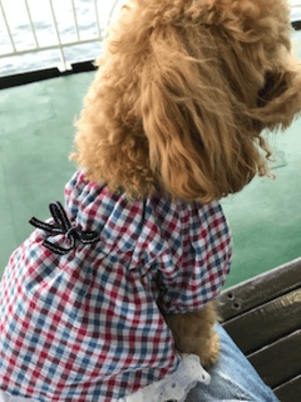 あ～すけさんの作品