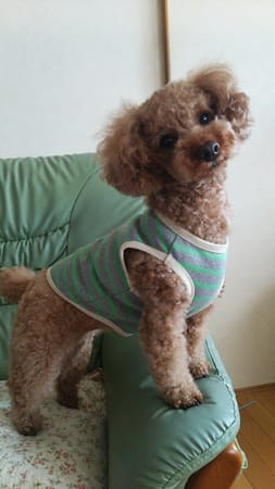 ななびさんの作品