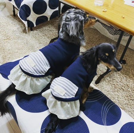 りんさんの作品