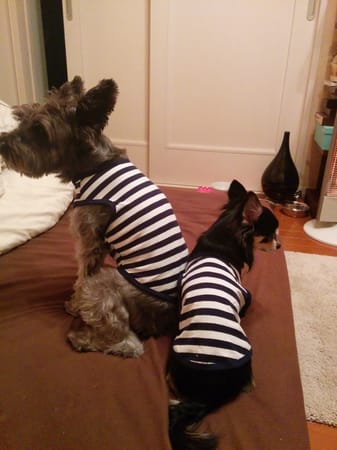 くまいくさんの作品