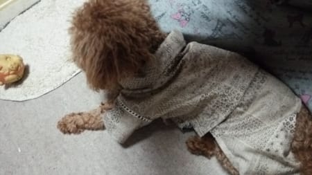 流威さんの作品