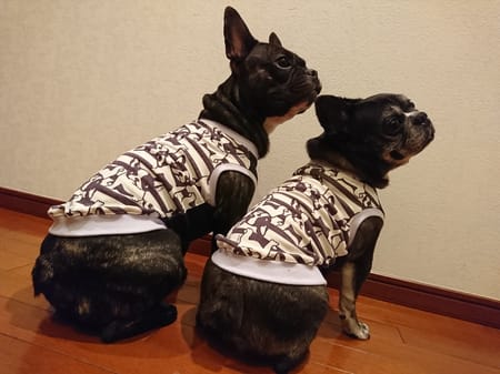 ちびっこさんの作品