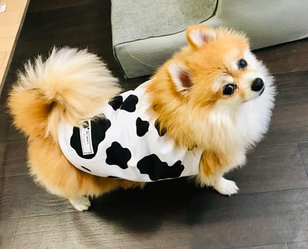 tamaharuさんの作品