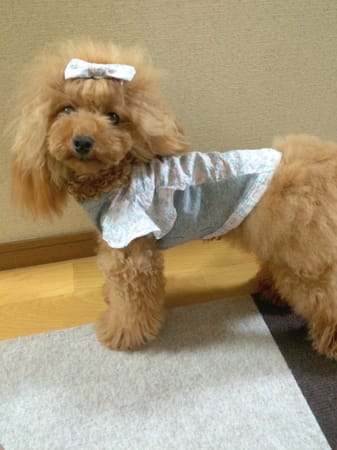 puiloveさんの作品