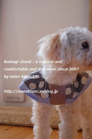 こむぎさんの作品