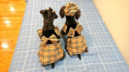 Lea&Miaさんの作品