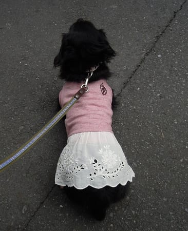 ライさんの作品