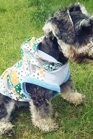 るぅなさんの作品