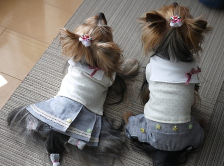 maririnhahaさんの作品