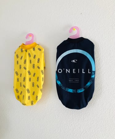 りりかさんの作品