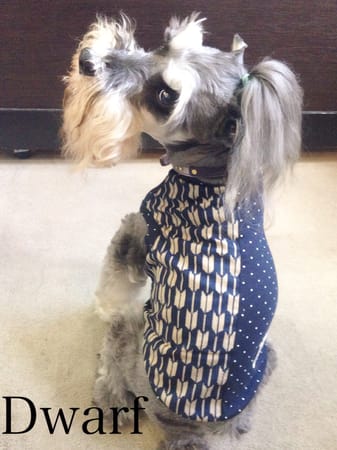 Dwarfさんの作品