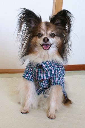 はるさんの作品