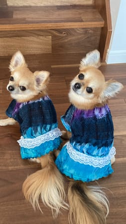 anirokitchenさんの作品