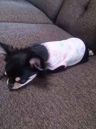 イチゴさんの作品