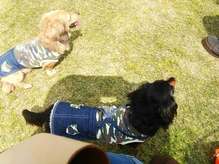 モコさんの作品