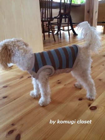 こむぎさんの作品