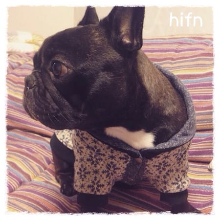 boom3tanさんの作品