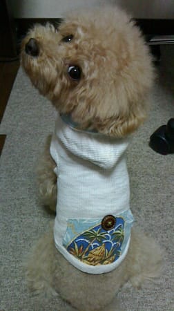 asukamamaさんの作品