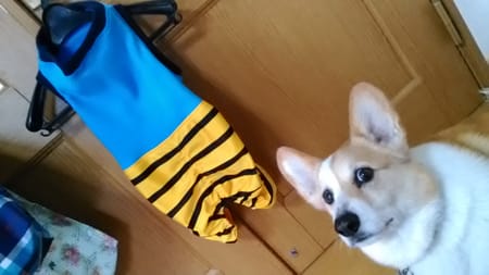 にゃん太さんの作品