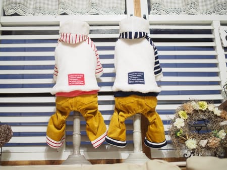 shimaさんの作品