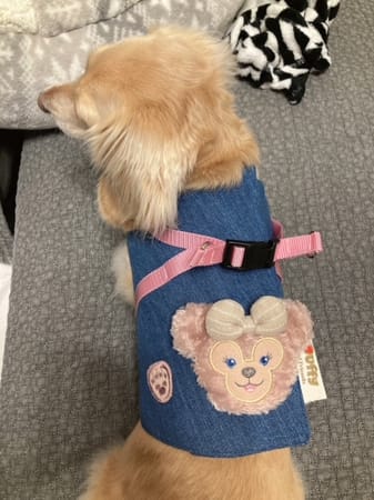 チーママさんの作品