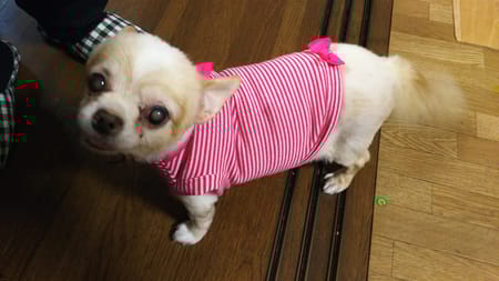 おがちゃんさんの作品