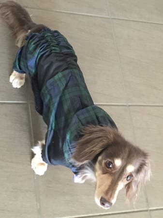 みにくろりんさんの作品