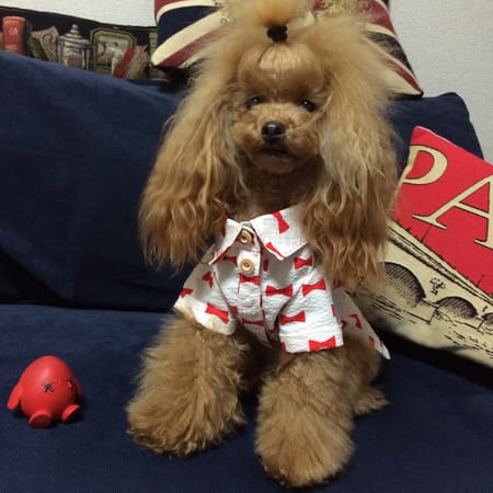 puiloveさんの作品