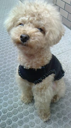 asukamamaさんの作品