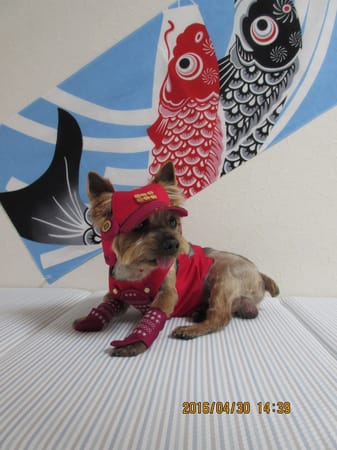 chikatyanさんの作品