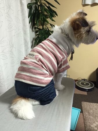 randymikioさんの作品