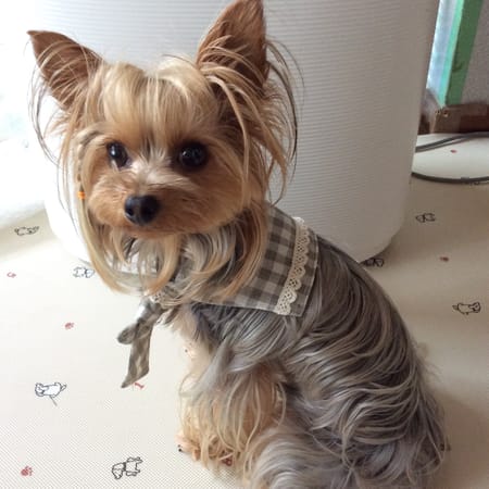 erikoさんの作品