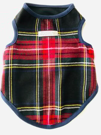 tamaharuさんの作品