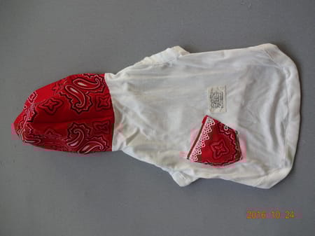 古都さんの作品