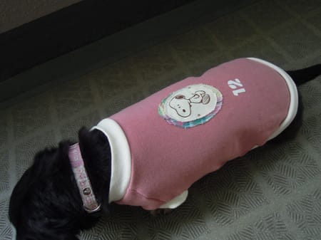 ライさんの作品