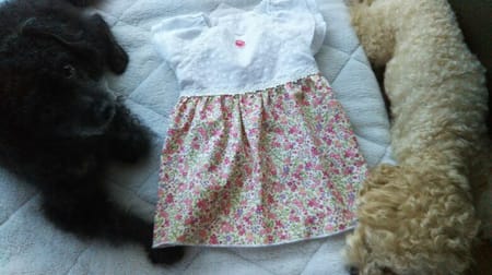 空*花さんの作品