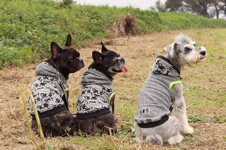 ちびっこさんの作品