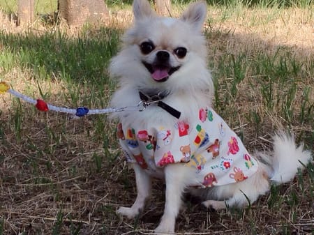 のぇのさんの作品