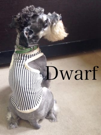 Dwarfさんの作品