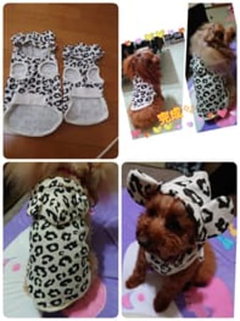 ayuzouさんの作品