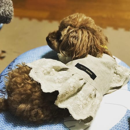 teruruさんの作品