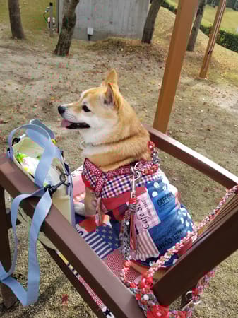 mizukiakiraさんの作品